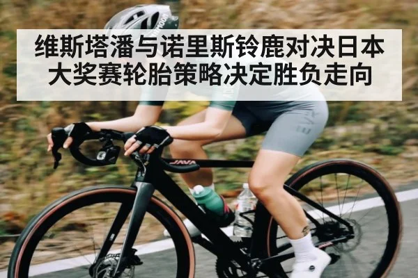 维斯塔潘与诺里斯铃鹿对决日本大奖赛轮胎策略决定胜负走向