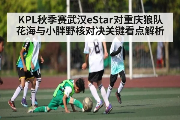 KPL秋季赛武汉eStar对重庆狼队花海与小胖野核对决关键看点解析